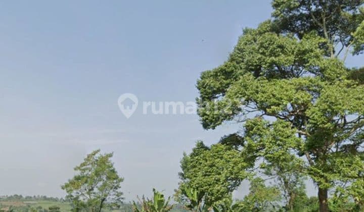 Tanah sukabumi cicurug benda