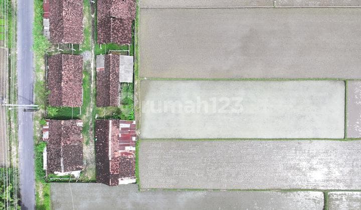 Tanah Blambangan Raya Sleman Yogya