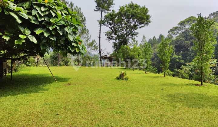 Land Caringin Bogor Vila Cikreteg