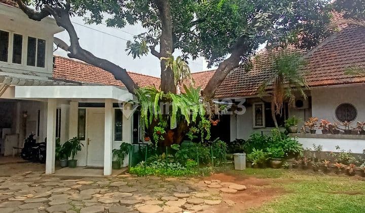 Duri 800 m2 strategic area house