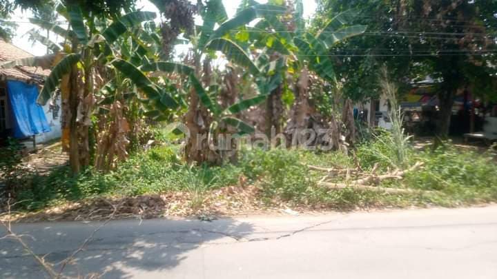 Jual Tanah Sukamulya