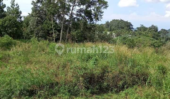 Jual Murah Tanah Sentul