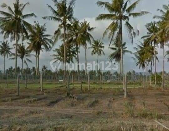 Jual Tanah Kota Pangandaran