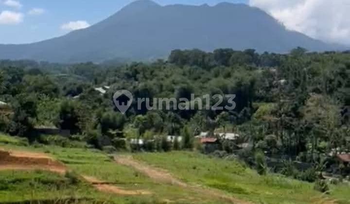 Jual Harga Njop Tanah Cisarua