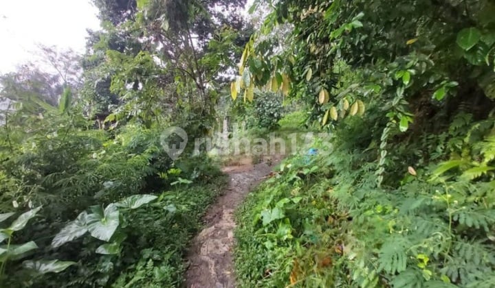 Tanah Buahan Kaja Payangan