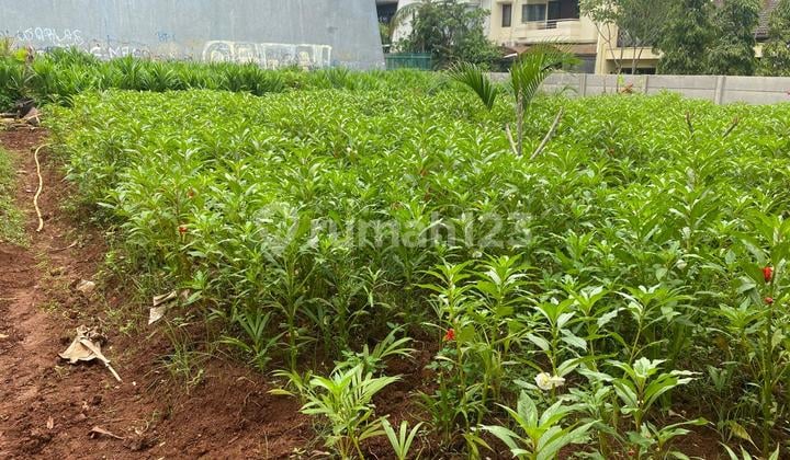 Kavling Interkon Kebon Jeruk 600M² - bisa Beli Sebagian