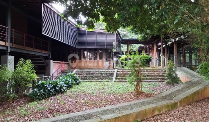 Rumah Konsep Kebun Hitung Tanah Area Tenang di Jagakarsa Jakarta Selatan