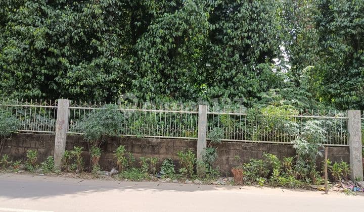 Lahan Padat Siap Bangun Serua Ciputat