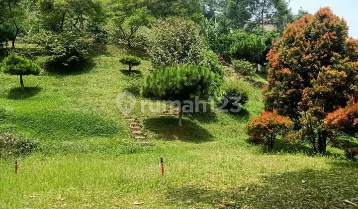 Di Jual Cepat Di Bawah NJOP Tanah Di Cisarua Puncak