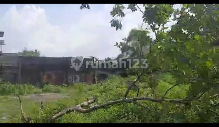 Di Jual Tanah Dan Gudang Di Kapuk Jakarta Utara Termurah Jarang Ada