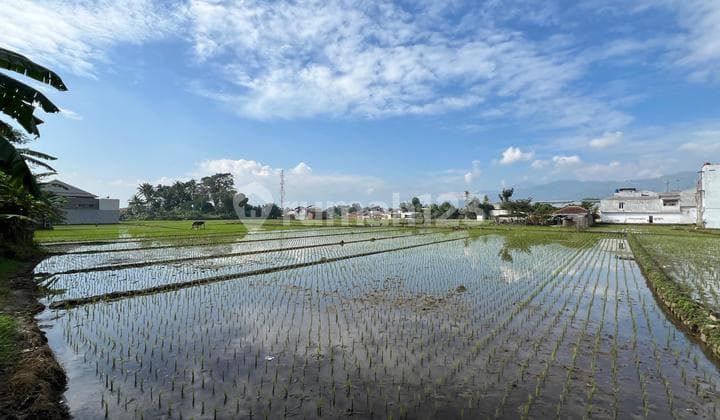Tanah Sawah jl Al Fathu Soreang SHM & AJB