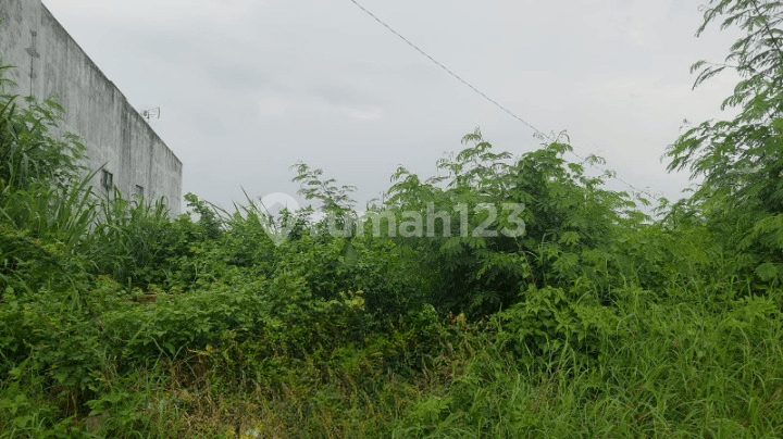 Land Ready to Build and Flood-Free in the Singotoro Area, Semarang Land Ready to Build and Flood-Free in the Singotoro Area, Semarang
