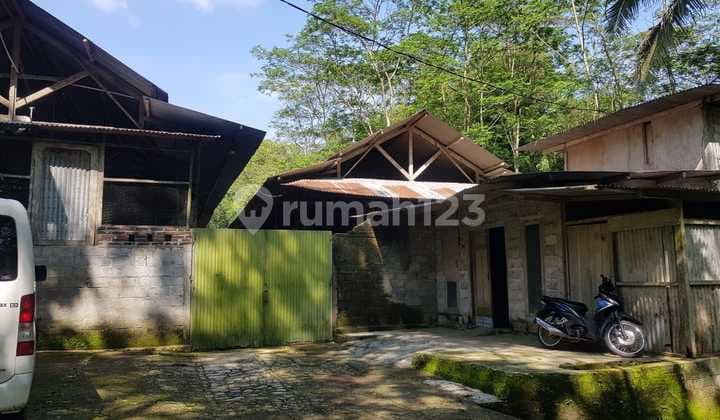 Peternakan Ayam Petelur Siap di Akuisisi Komplit Dengan Peralatannya di Temanggung