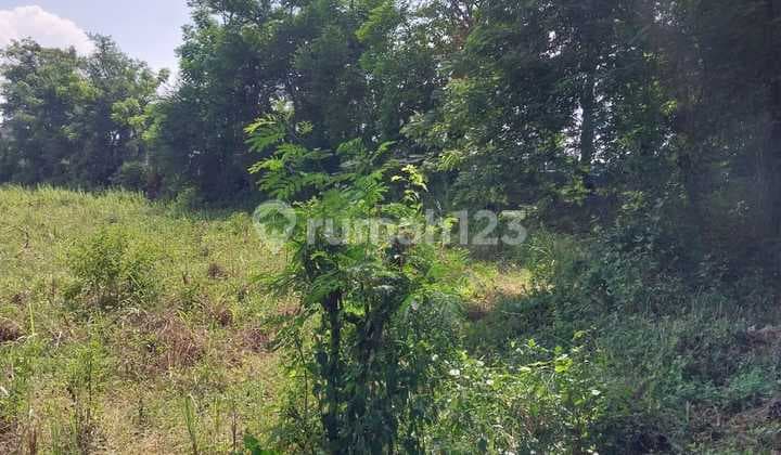 Tanah 8.722 M2 Zona Industri Lokasi Sangat Strategis Di Pati Jawa Tengah