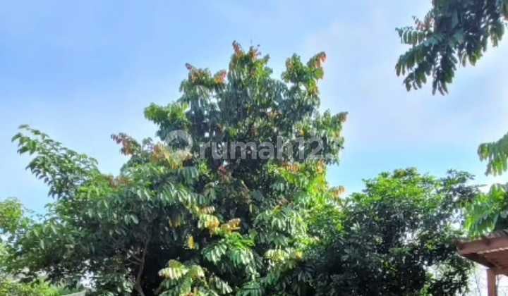 Kavling Siap Bangun Lokasi Bebas Banjir Di Bsb City Kavling Siap Bangun Lokasi Bebas Banjir Di Bsb City