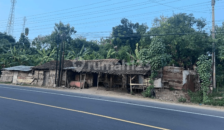 Tanah Siap Bangun View Laut Cocok Untuk Hotel Atau Resort Di Lasem Rembang Tanah Siap Bangun View Laut Cocok Untuk Hotel Atau Resort Di Lasem Rembang