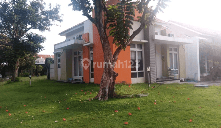 Rumah Hook 1 Lantai Bebas Banjir Di Perumahan Eksklusif Graha Padma Semarang Rumah Hook 1 Lantai Bebas Banjir Di Perumahan Eksklusif Graha Padma Semarang