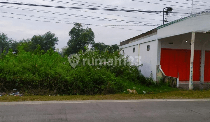 Tanah 2.7 HA Lokasi Strategis Di Pinggir Jalan Raya Purwodadi