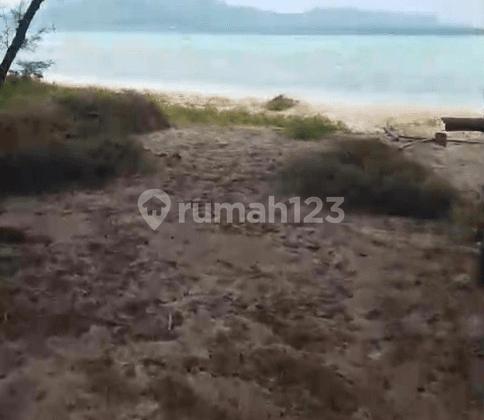 Pulau Dengan Keindahan Yang Memanjakan Mata Di Karimunjawa Siap Diakuisisi