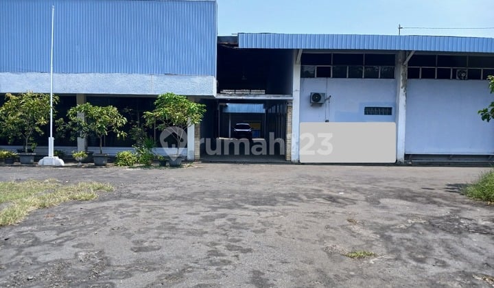 Gudang Hook Dapat 3 Muka Berukuran Besar Siap Pakai Di Siliwangi Semarang