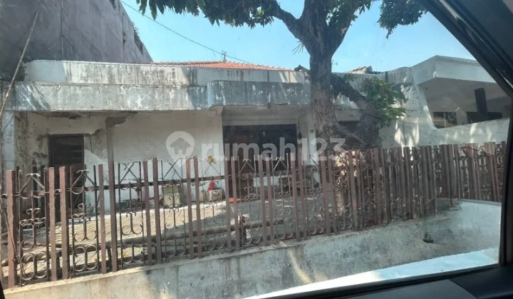 Rumah Lama Lebar Depan 12 M Di Daerah Pusponjolo Semarang Rumah Lama Lebar Depan 12 M Di Daerah Pusponjolo Semarang