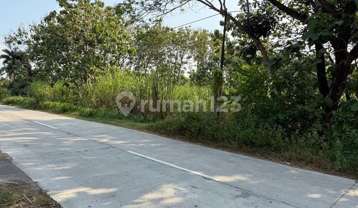 Tanah mangku jalan provinsi hanya 6 menit ke Gerbang Tol Sragen Timur