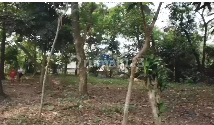 Jual Tanah Di Jalan Raya Pantura, Cangkudu Balaraja, Tangerang