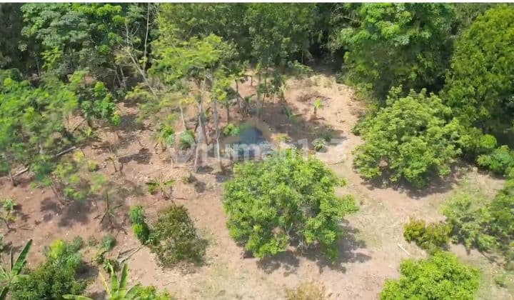 Jual Tanah di Cimangeuteng, Rangkas Bitung Kab. Lebak, Banten