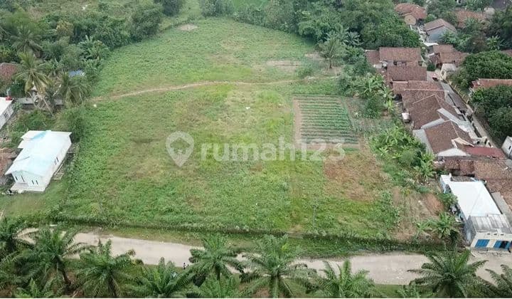 Jual Tanah Di Desa Tutul, Maja Rangkas Bitung, Lebak, Banten