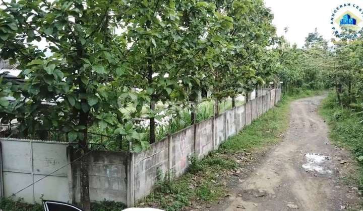 Jual Tanah Ex. Ternak Sapi Di Ds. Guradog, Rangkas Bitung Lebak