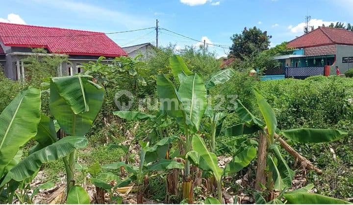 Jual Tanah Kavling Di Ds. Suka Bakti, Curug Tangerang