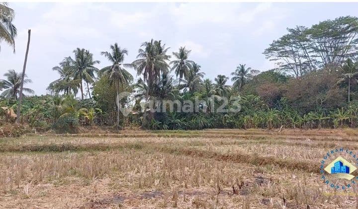Jual Tanah Di Jalan Raya Citeras, Rangkas Bintung Lebak, Banten