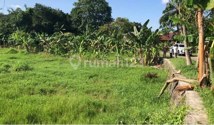 Land in Serdang Wetan Village, Legok Tangerang