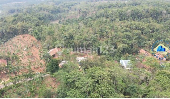 Jual Tanah Di Jalan Cimarga, Rangkas Bitung Lebak, Banten