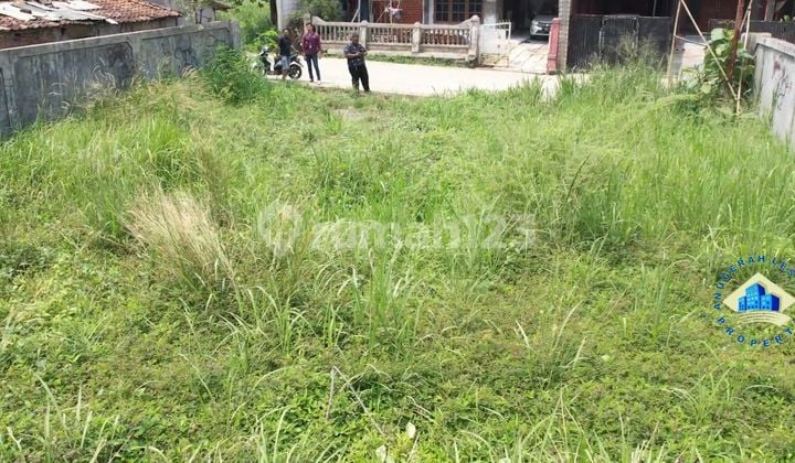 Jual Tanah Di Jalan Raya Letnan Sayuti Setu, Jasinga Bogor