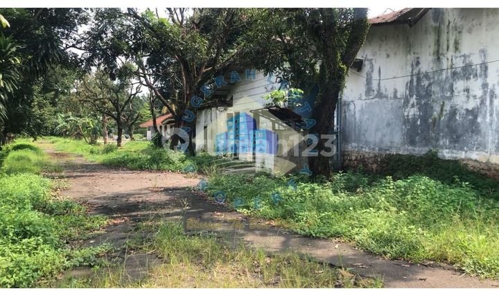 For Sale: Former Livestock Land on Pahlawan Main Road, Gunung Sindur, Bogor
