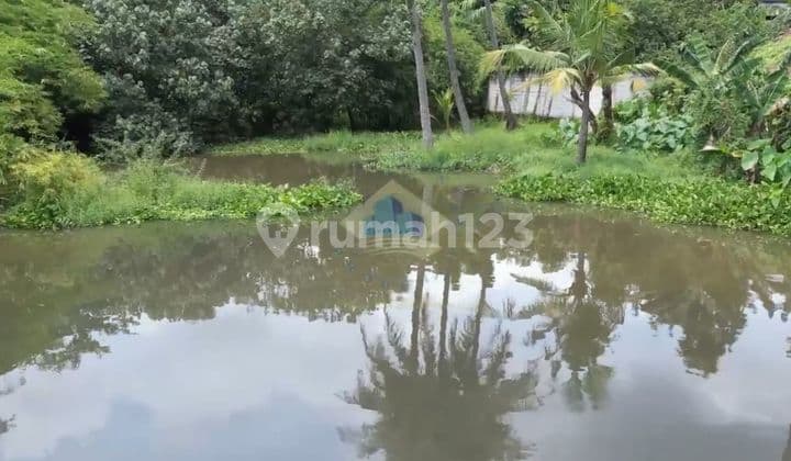 For Sale Land in Asem, Serang-Jakarta Main Road, Cikande, Serang, Banten