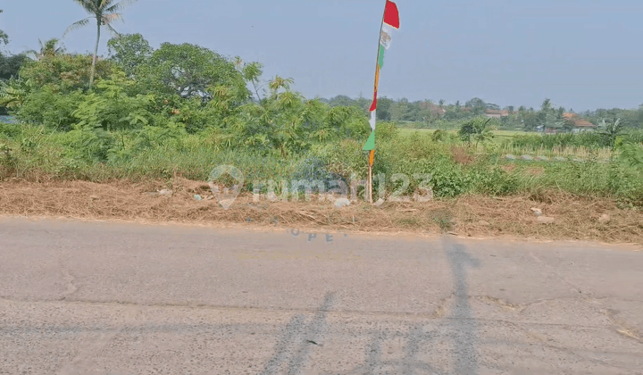 Jual Tanah di Jl Raya Kronjo Balaraja, Kronjo, Tangerang