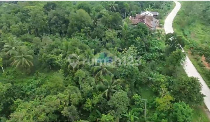 Jual Tanah di Jl Raya Sampay, Cileles, Lebak - Banten.