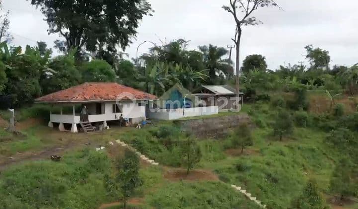 For Sale: Plantation Land on Jasinga Main Road, Bogor Regency - West Java