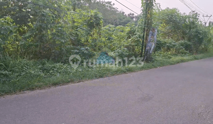 Jual Tanah di Jl Sayar, Sepang, Taktakan Kota Serang