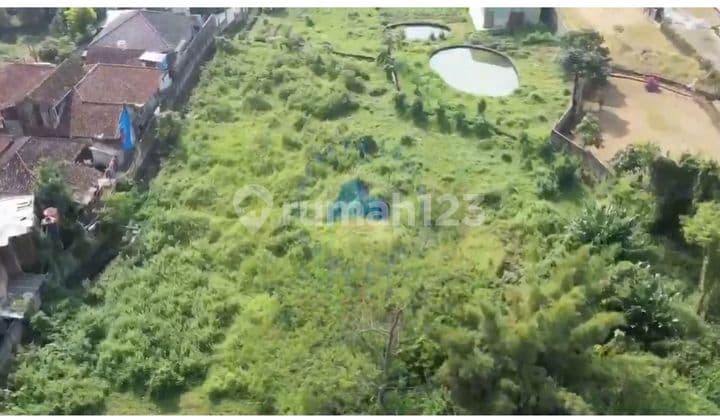 Jual Tanah Gudang Di Padarincang, Palasari, Cipanas Jawa Barat