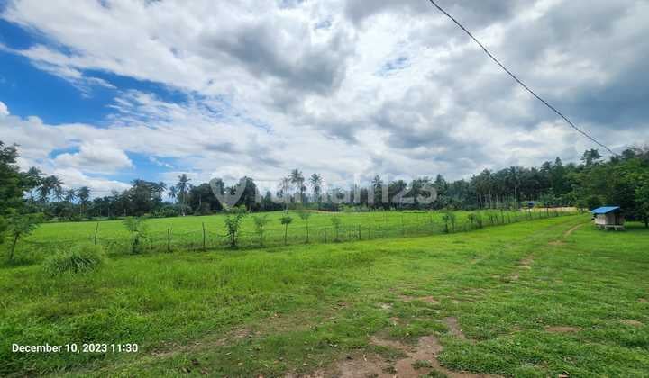 Dijual Kavling Strategis Di Kalawat Kolongan