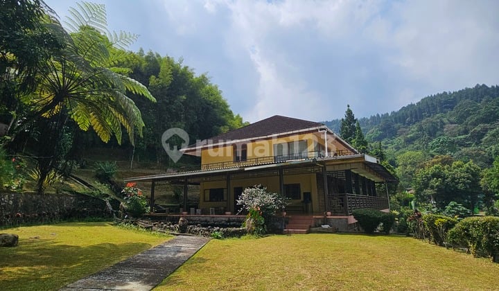 VILLA MEGA MENDUNG, Mountain View, Fresh Air