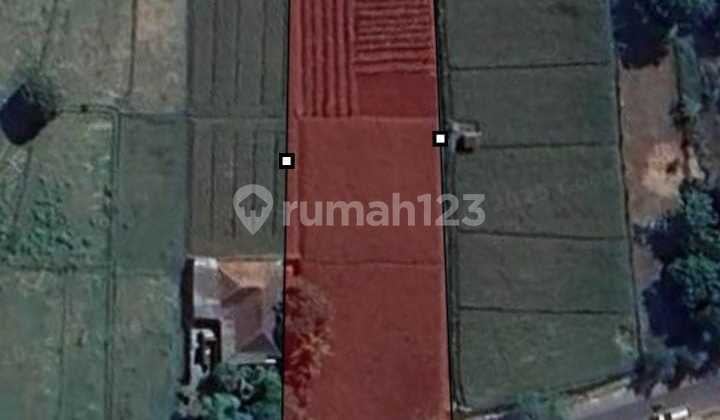 Tanah Strategis Untuk Gudang Atau Usaha Pinggir Jalan Raya Kalijati Subang