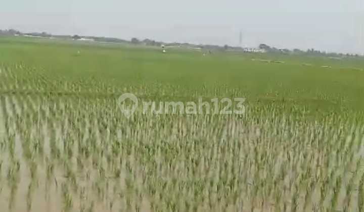 Tanah Untuk Bangun Perumahan Atau Gudang Pinggir Jalan Sarimukti Dekat Gerbang Tol Gabus