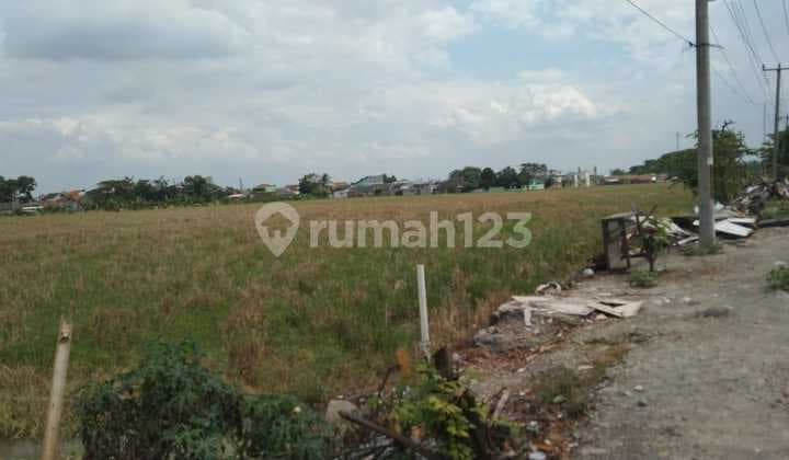 Tanah Strategiis Pinggir Jalan Lingkar Tanjungpura Cocok Bangun Gudang