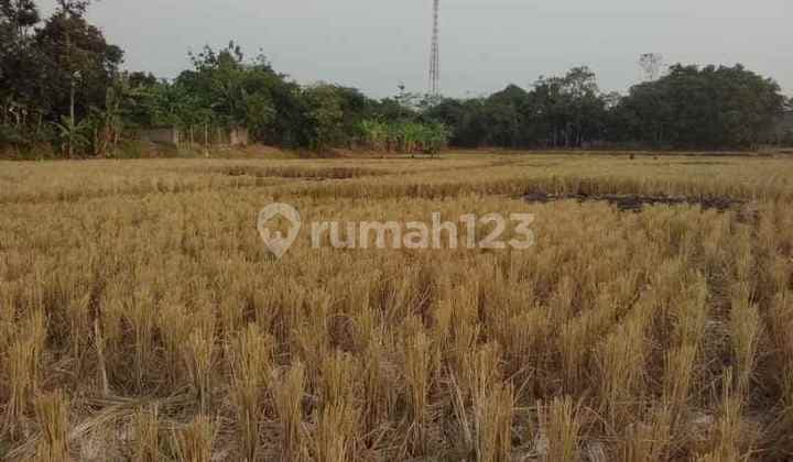 Tanah Strategis Bangun Industri Pinggir Jalan Raya Cibogo