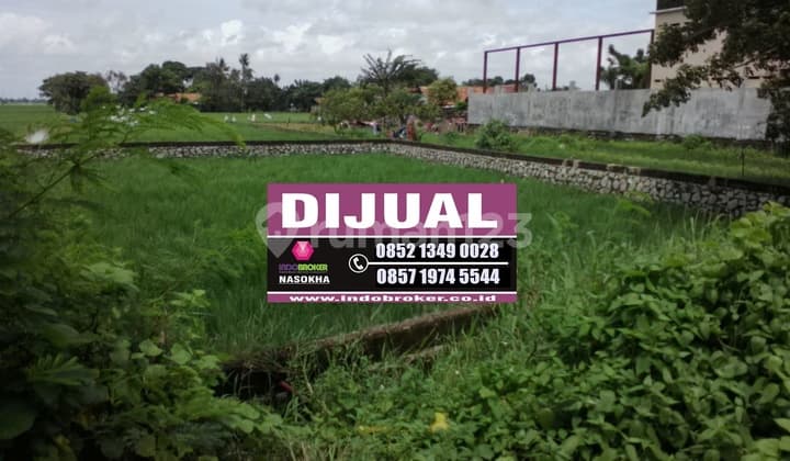 Tanah Untuk Bangun Usaha Dan Gudang Pinggir Jalan Lingkar Tanjungpura