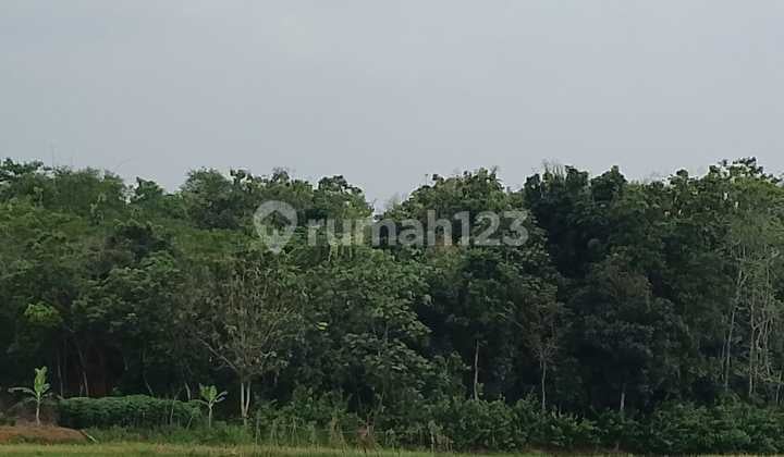 Tanah Kawasan Industri Sumurbarang Untuk Pabrik Limbah B3